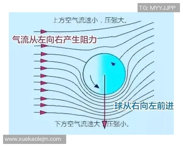 提升运动科学与飞盘意识的训练方法探讨与实践研究