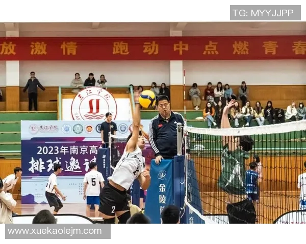 体育实时数据武汉排球队心理素质创新高展现排球精神风貌与团队凝聚力